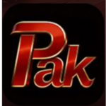 PakNew Game