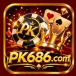 PK686 Game